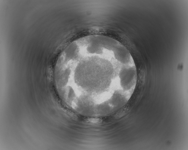 X0000111170659200908121048