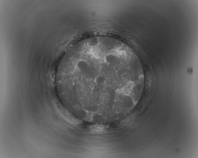 X0000111170661200908121048