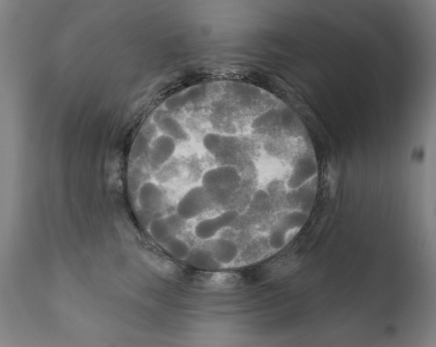 X0000111170663200908121048