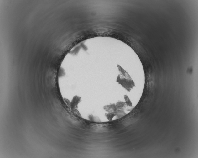 X0000111170664200908121048