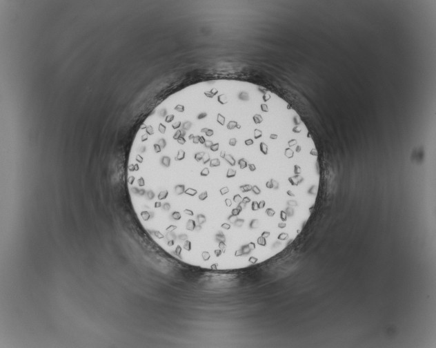 X0000111170665200908121048