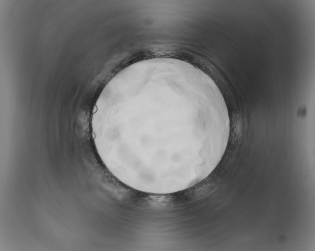 X0000111170667200908121048