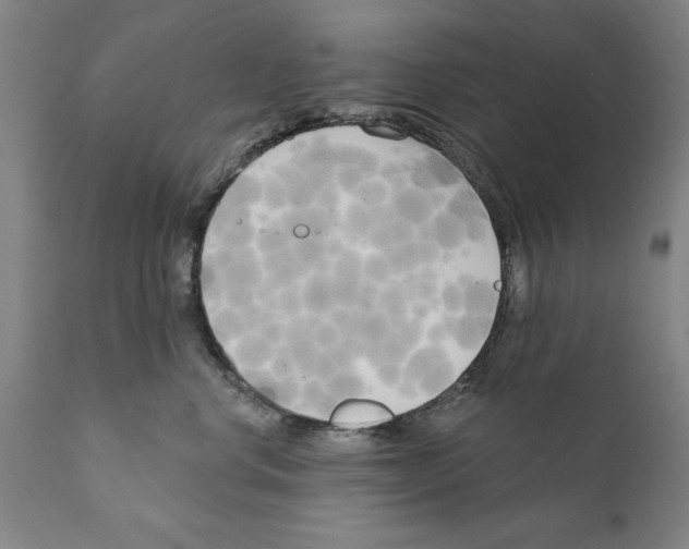 X0000111170668200908121048