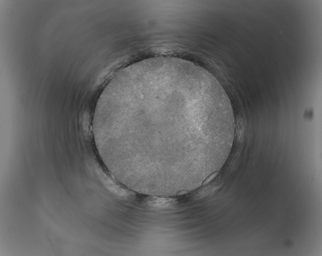 X0000111170670200908121048