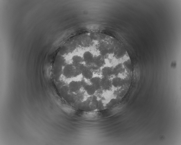 X0000111170671200908121048