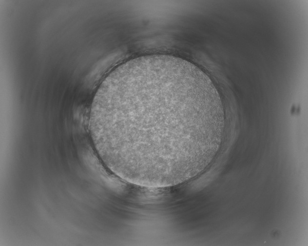 X0000111170672200908121048