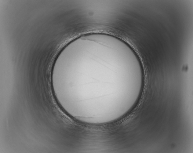 X0000111170673200908121048