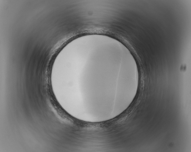 X0000111170674200908121048