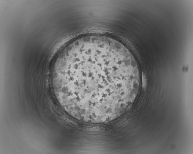 X0000111170675200908121047