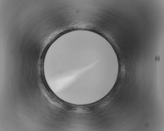 X0000111170678200908121047