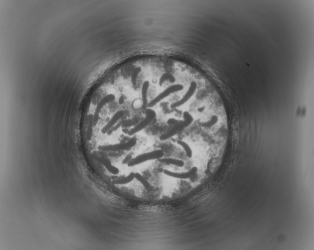 X0000111170679200908121047