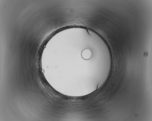 X0000111170680200908121047