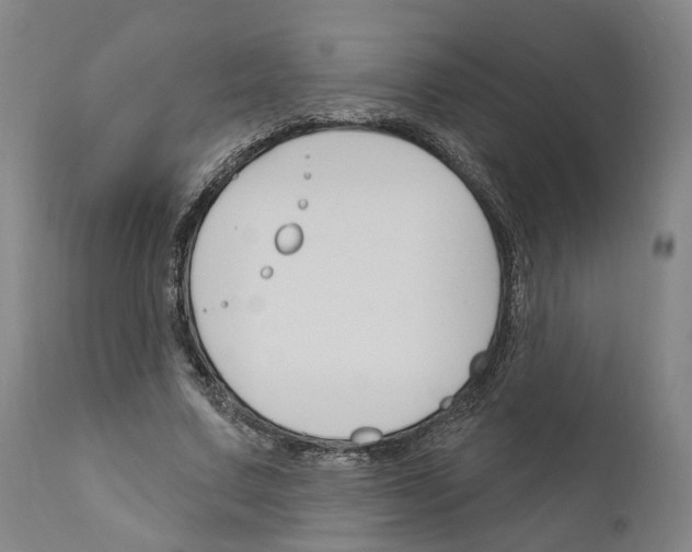 X0000111170683200908121047