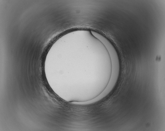 X0000111170684200908121047