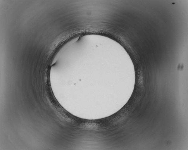 X0000111170685200908121047