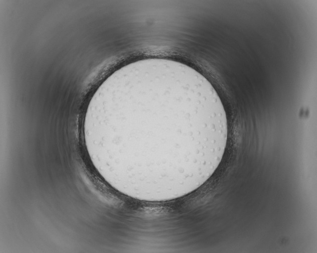 X0000111170686200908121047