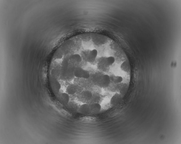 X0000111170691200908121047