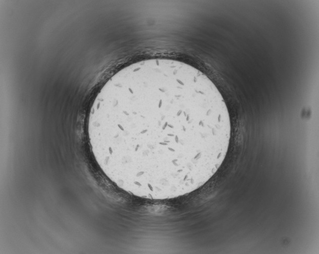 X0000111170695200908121047