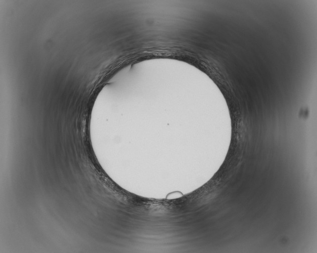 X0000111170697200908121047