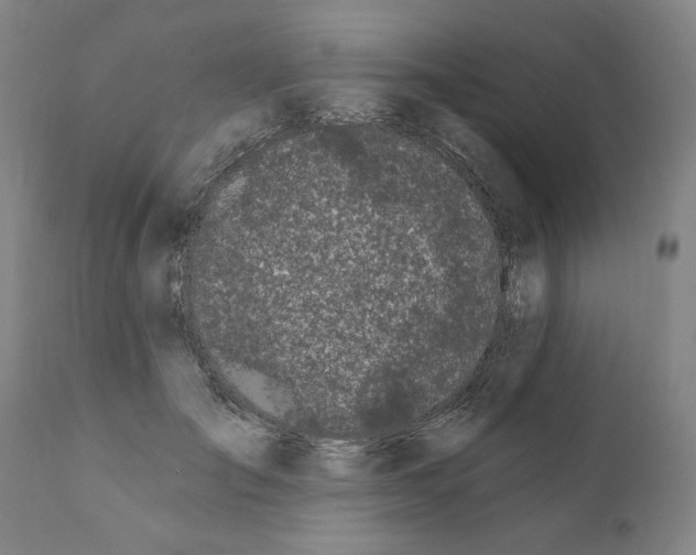 X0000111170701200908121047