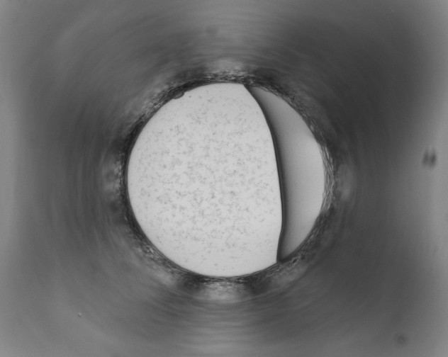 X0000111170708200908121047