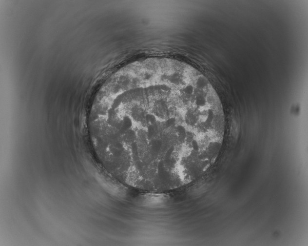 X0000111170711200908121047