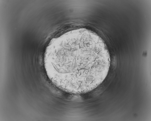 X0000111170715200908121047