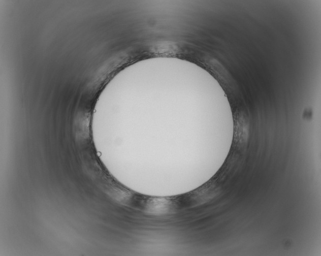 X0000111170717200908121047