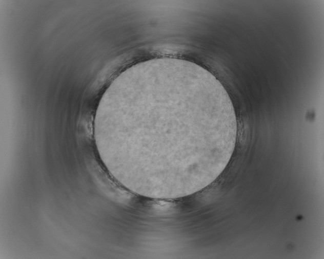 X0000111170718200908121047