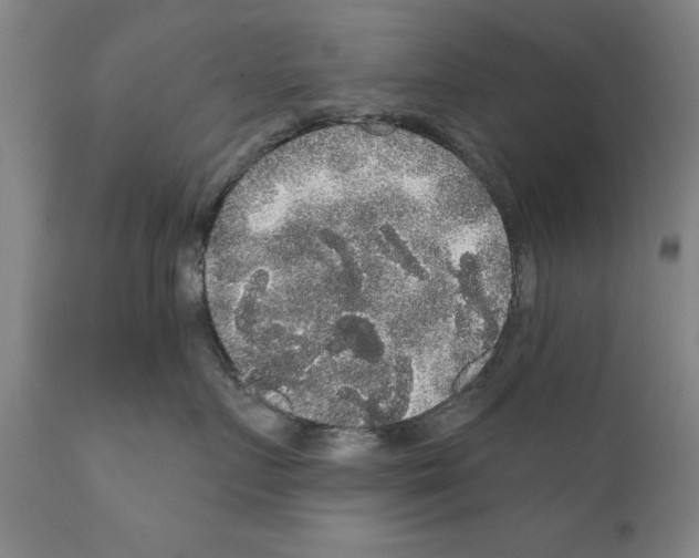 X0000111170719200908121047