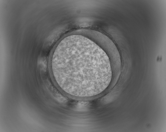 X0000111170720200908121047