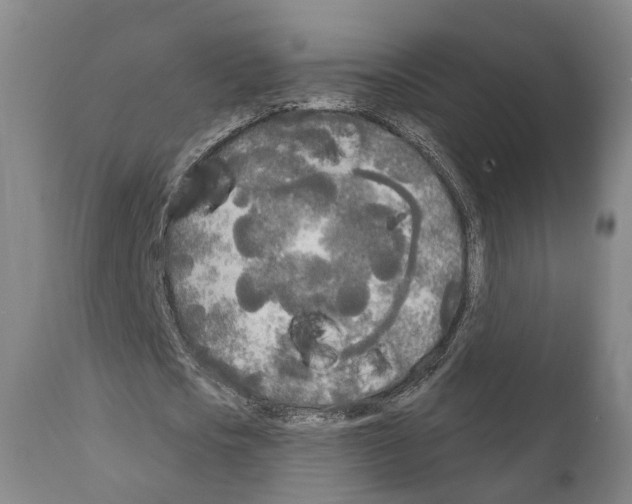 X0000111170721200908121046