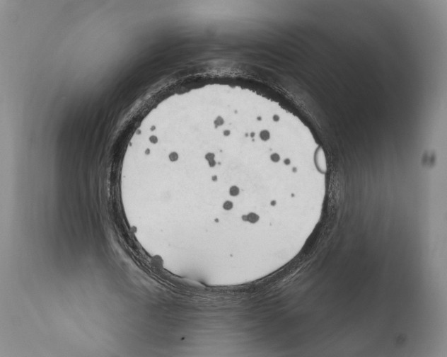 X0000111170722200908121046