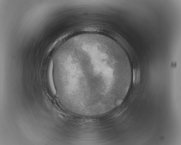 X0000111170723200908121046