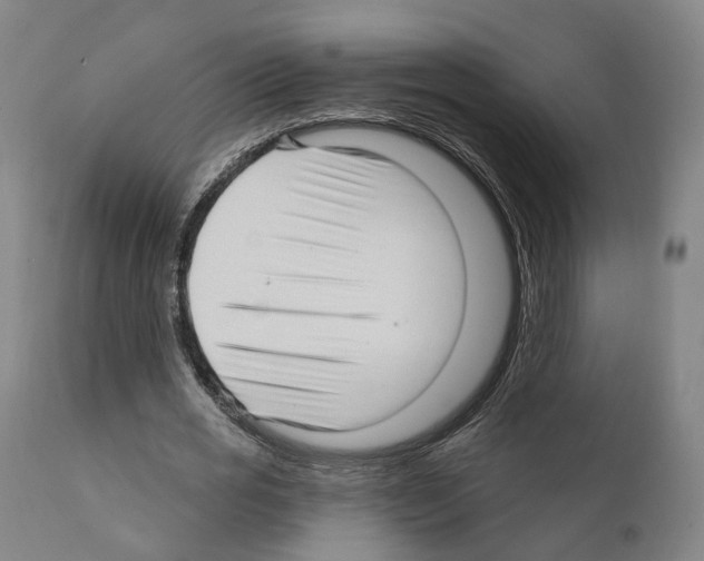 X0000111170725200908121046