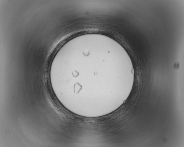 X0000111170728200908121046