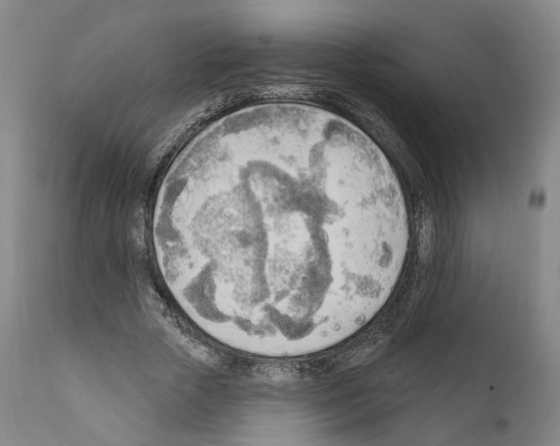 X0000111170729200908121046