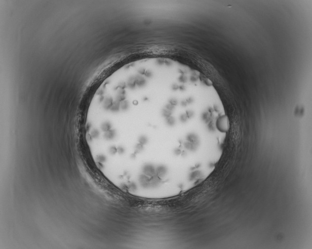 X0000111170730200908121046