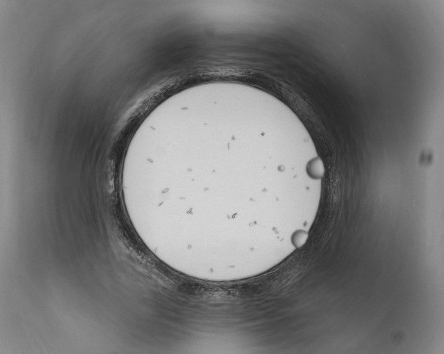 X0000111170731200908121046