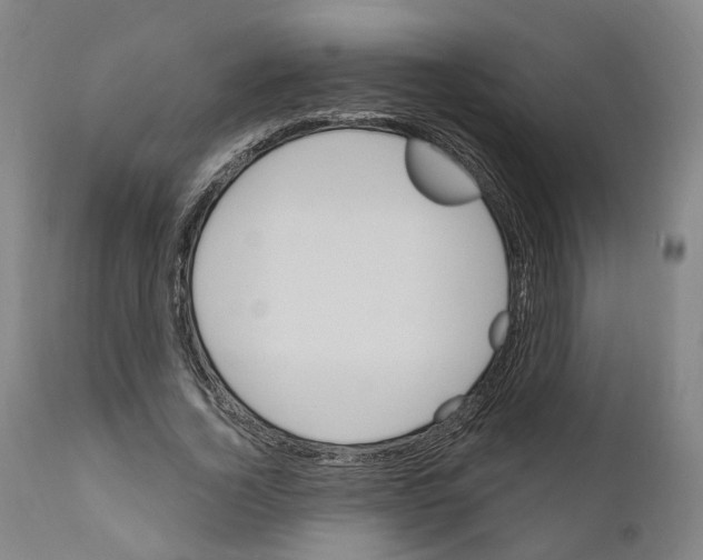 X0000111170732200908121046