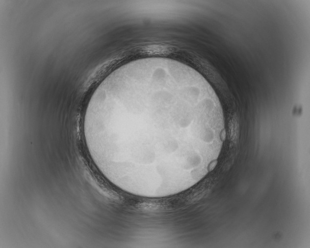 X0000111170733200908121046