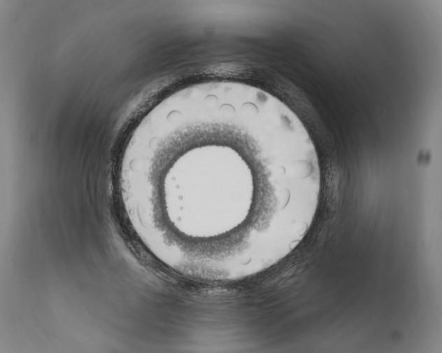 X0000111170734200908121046