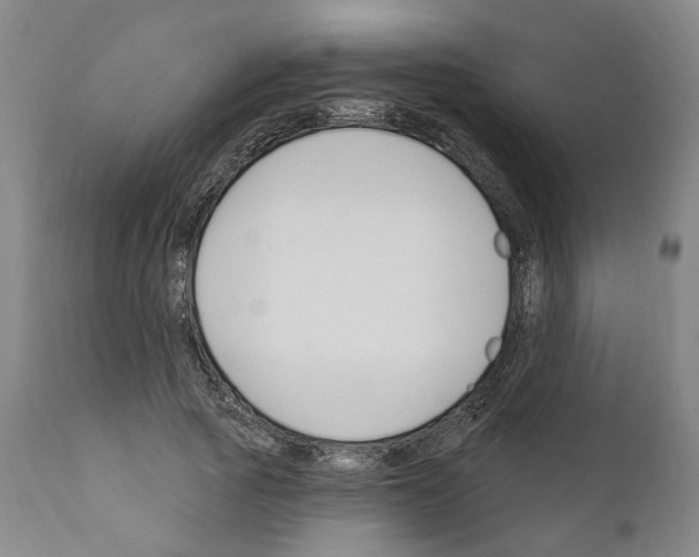 X0000111170737200908121046