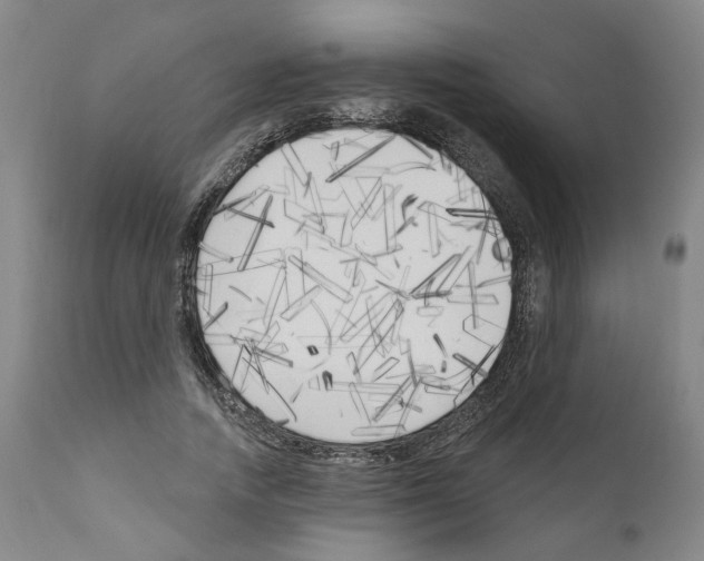 X0000111170738200908121046