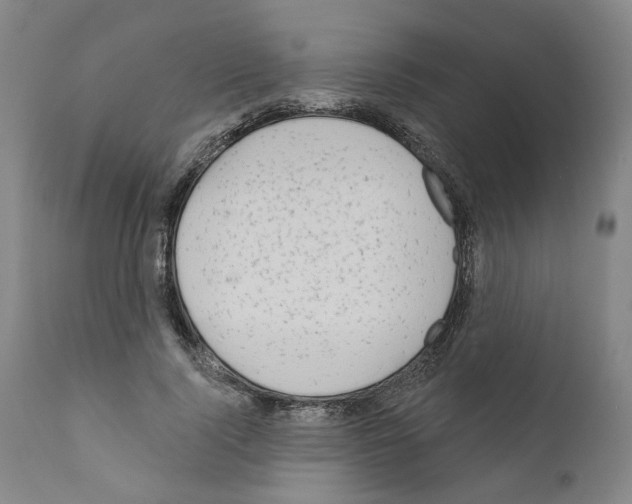 X0000111170740200908121046