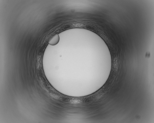 X0000111170741200908121046