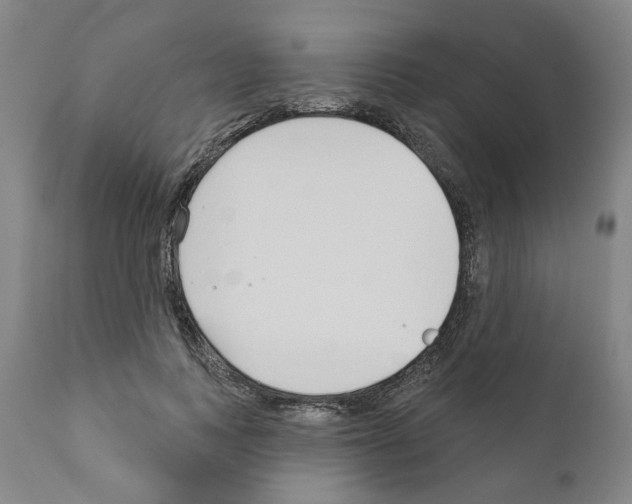 X0000111170743200908121046