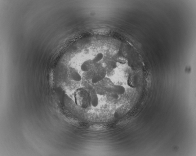 X0000111170745200908121046