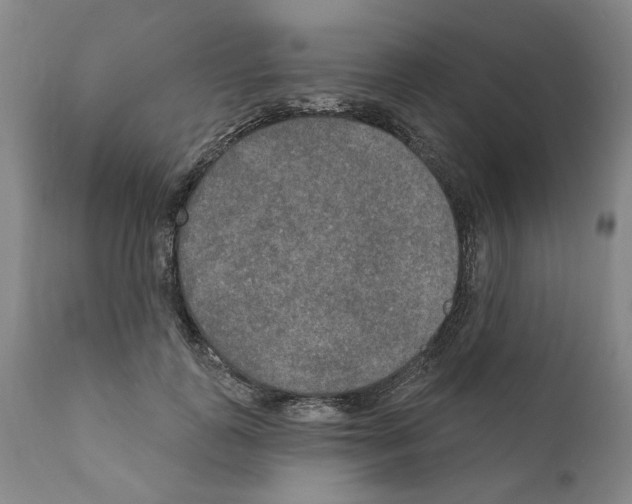 X0000111170747200908121046