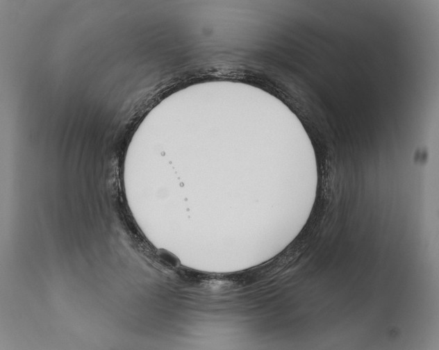 X0000111170748200908121046